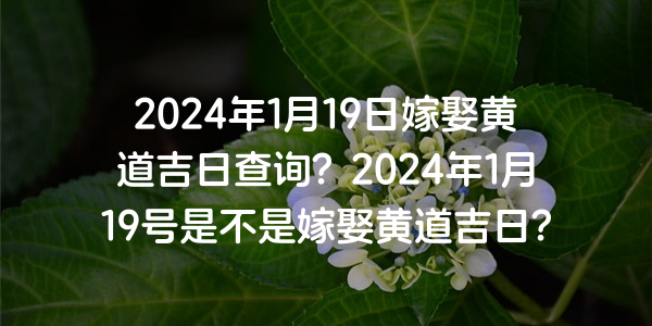 2024年1月19日嫁娶黄道吉日查询？2024年1月19号是不是嫁娶黄道吉日？