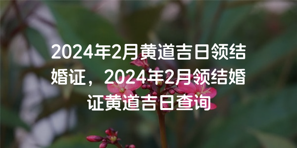 2024年2月黄道吉日领结婚证，2024年2月领结婚证黄道吉日查询